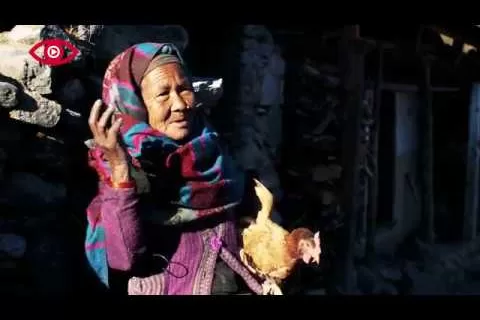 Chaukiniko Katha Trailer
