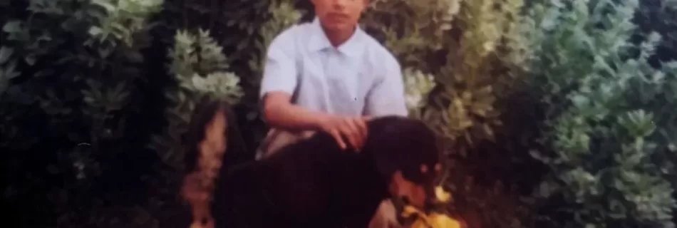 Rabi The Dog