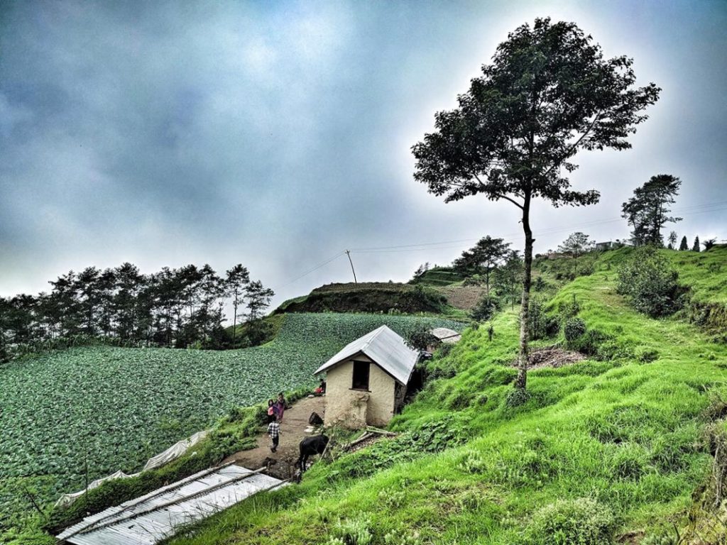 धनकुटा हिले सिधुवा वसन्तपुर