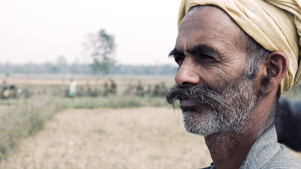 भैंसी चराउँदै सुन्दर यादव