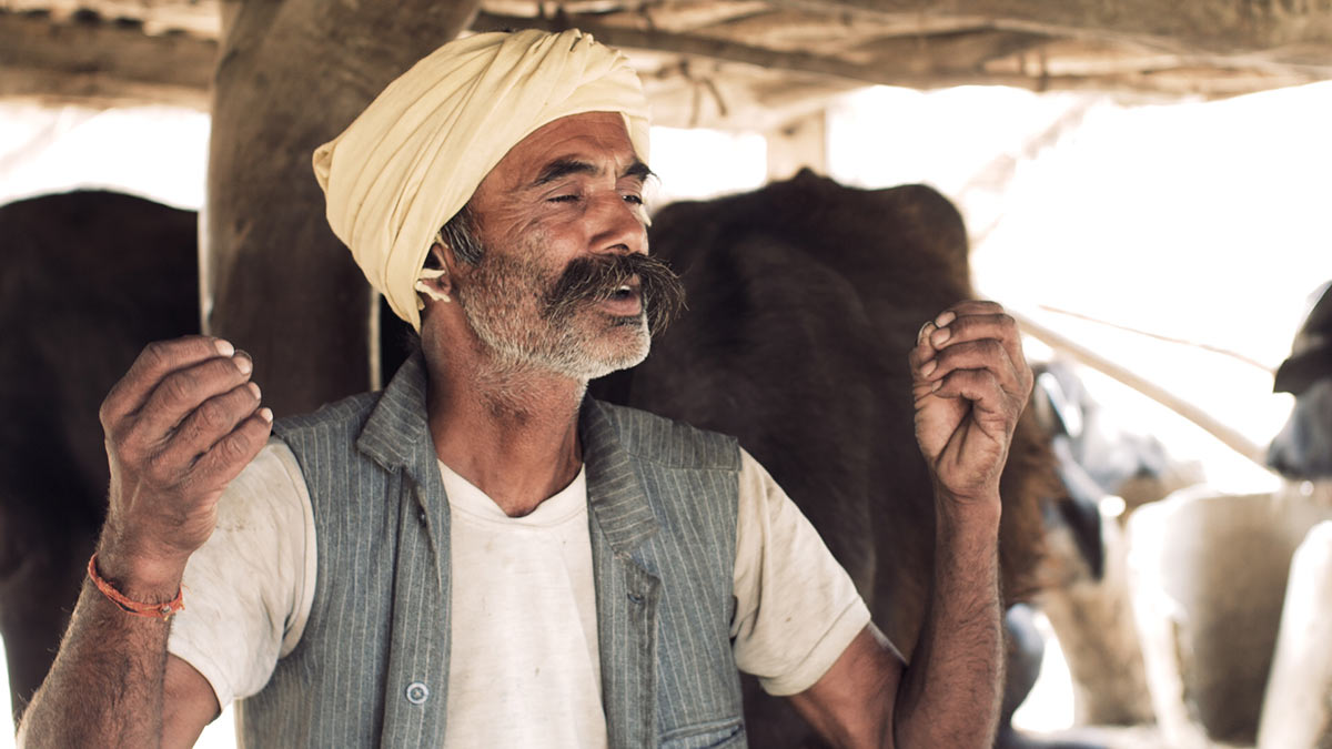 गोठमा सुन्दर यादव