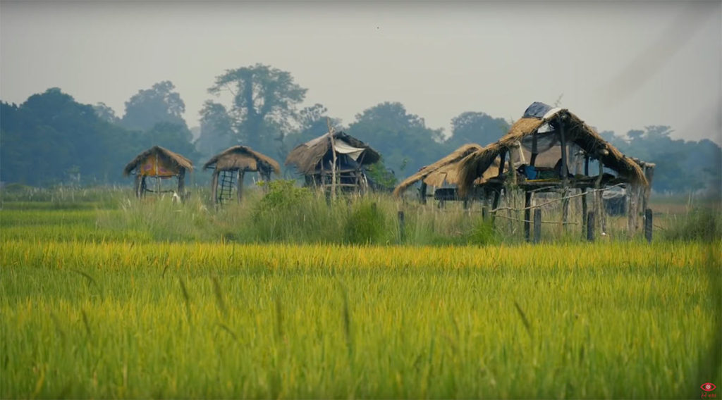 किनाराको कथा