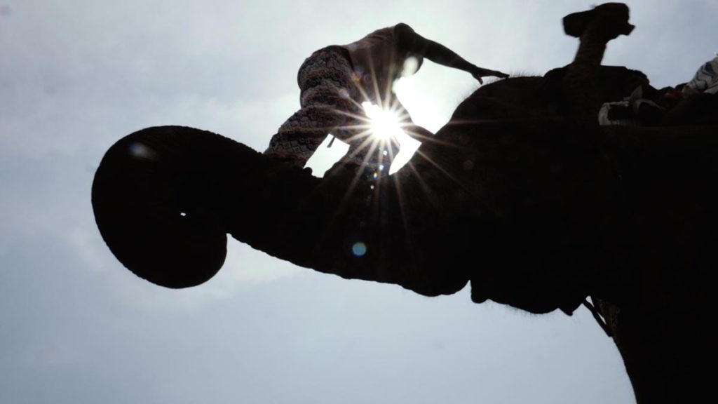 Himani Tharu with her elephant