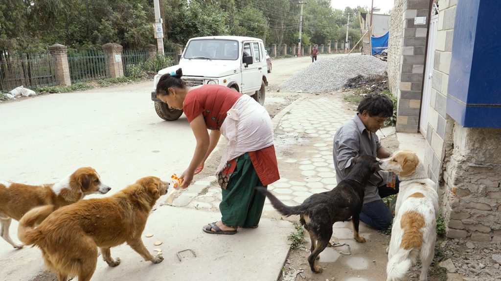 Indu and Ram feeding dogs