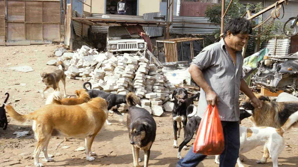 Ram Dai Bringing Meat