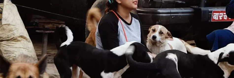 मायाको कथा Rayana with dogs