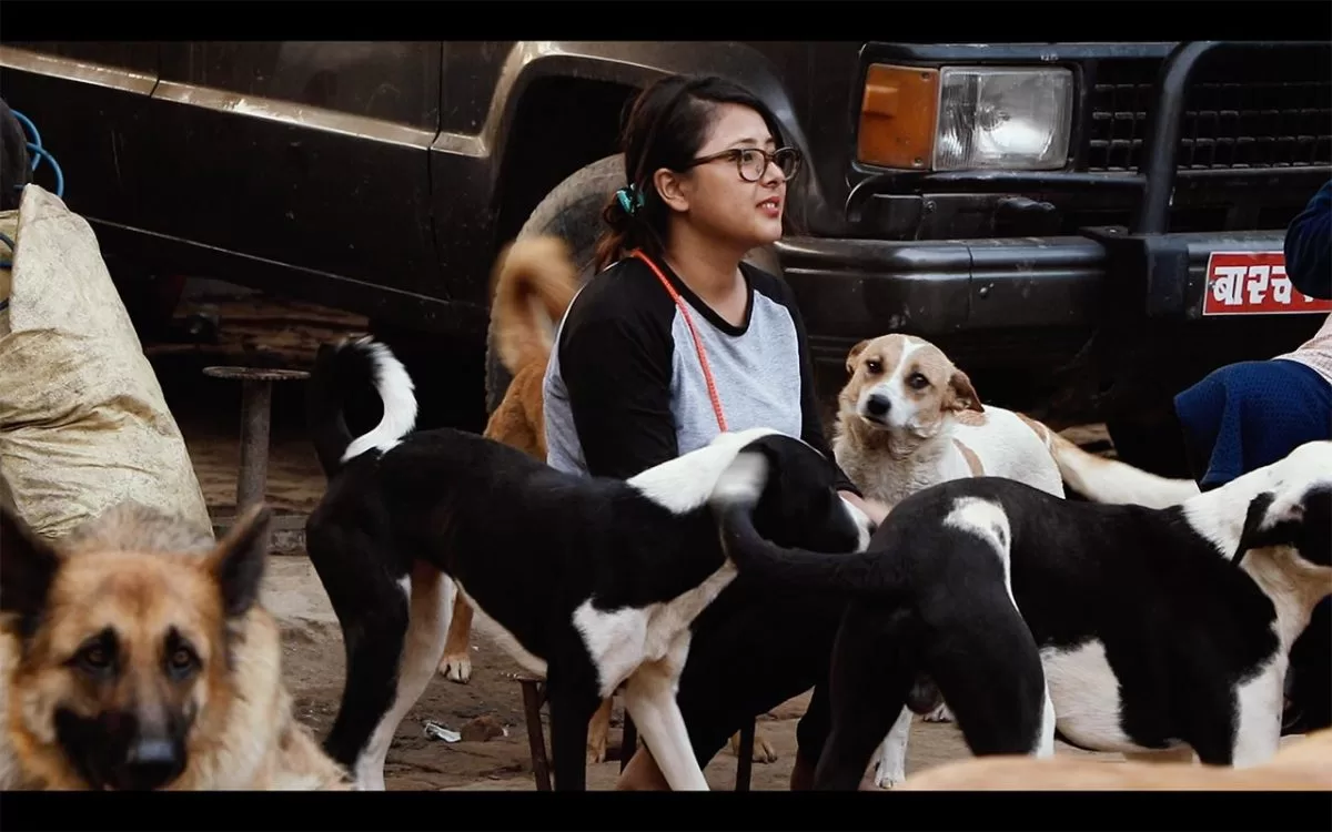 मायाको कथा Rayana with dogs