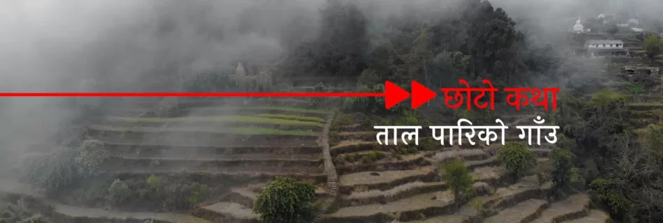 Taal pariko Gaun