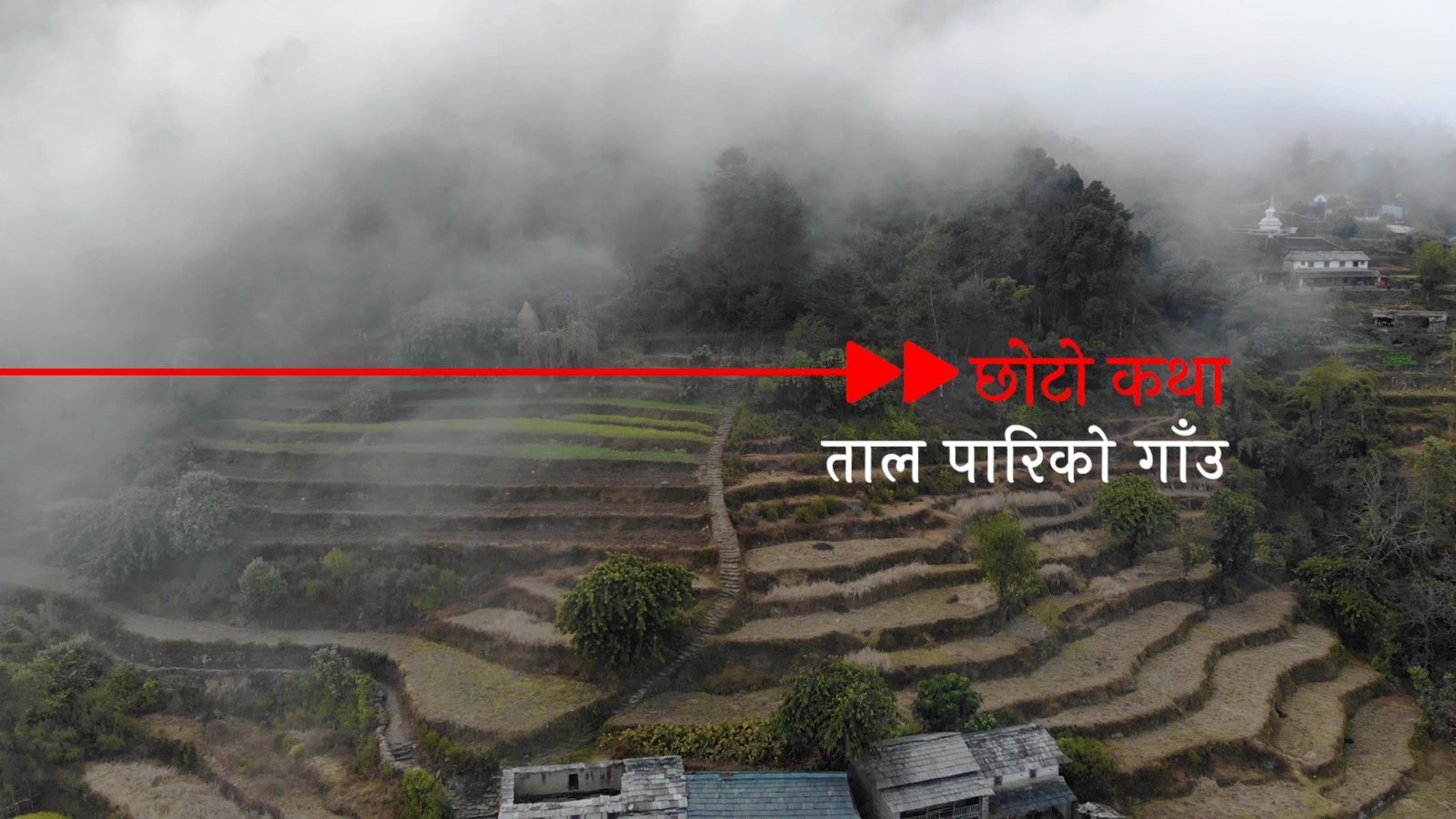 Taal pariko Gaun