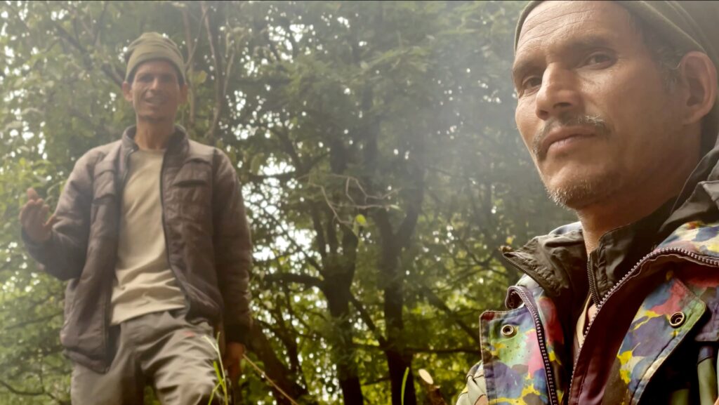 Bagh ko Bangara look - a honey hunter looks into the camera